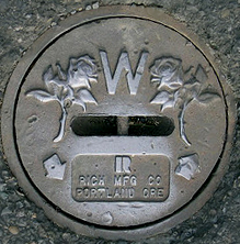 rose manhole cover4